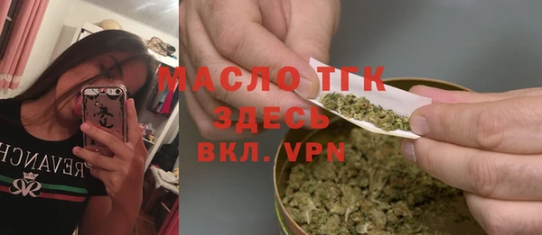 сатива Бородино
