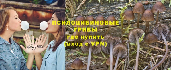 mix Богородицк