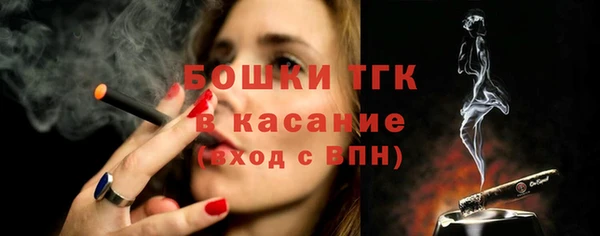 сатива Бородино