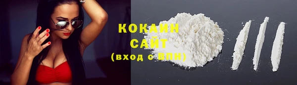 mix Богородицк