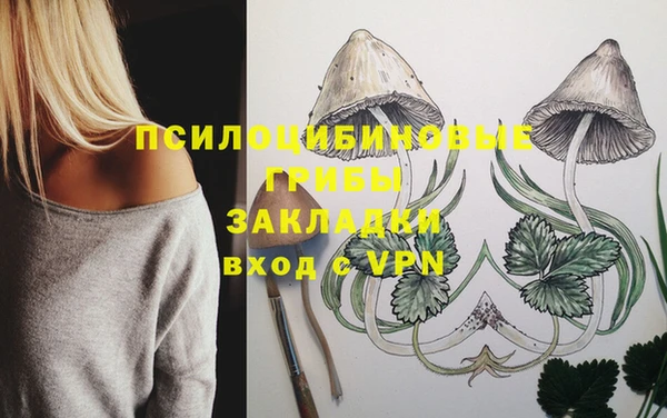 mix Богородицк