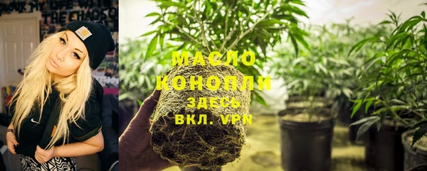 МДПВ Богородск