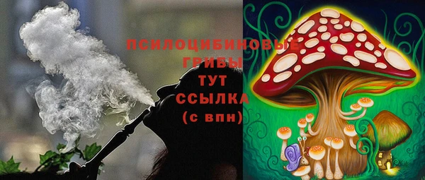 хмурый Верея