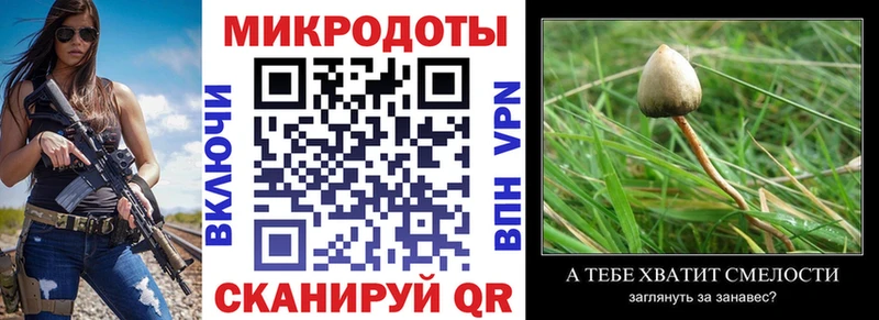 Купить  Ладушкин  Галлюциногенные грибы Cubensis 